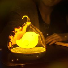 TEAM WORK创意鸟笼小夜灯，可充电蓄电触碰调光